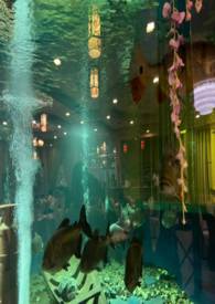 蜘蛛与蛇文言文翻译及启示